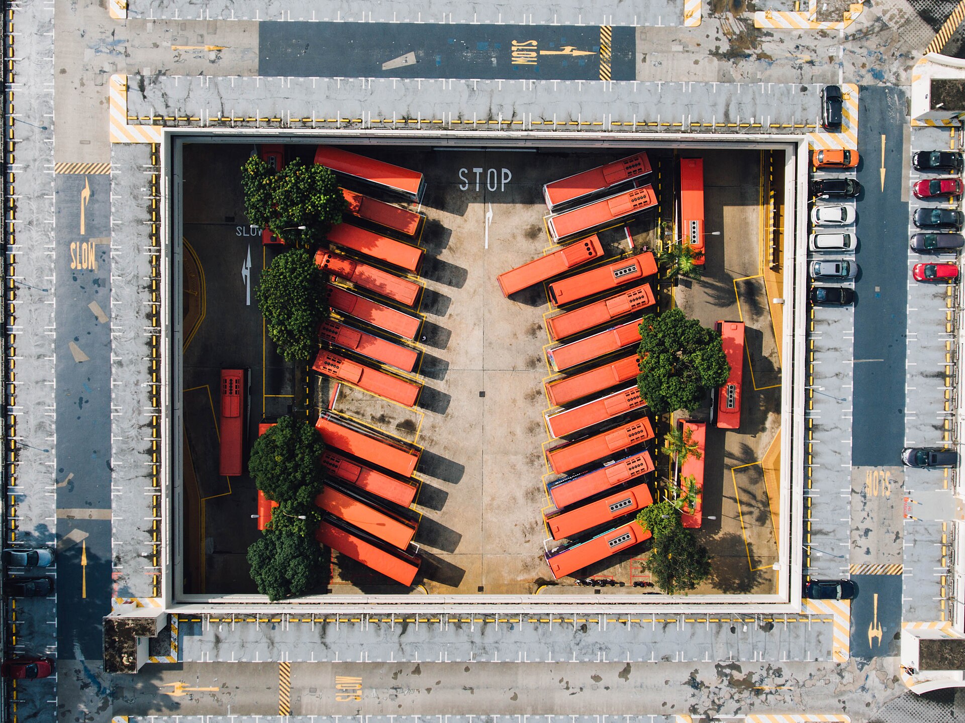 A transport supervisor walking along a row of parked orange minibuses at a depot in late afternoon light